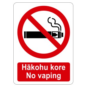 Sign Safety Hakohu Kore No Vaping 230x300mm